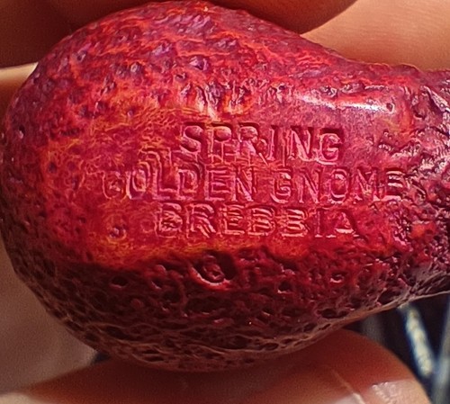 Brebbia golden gnome spring - gnome,
